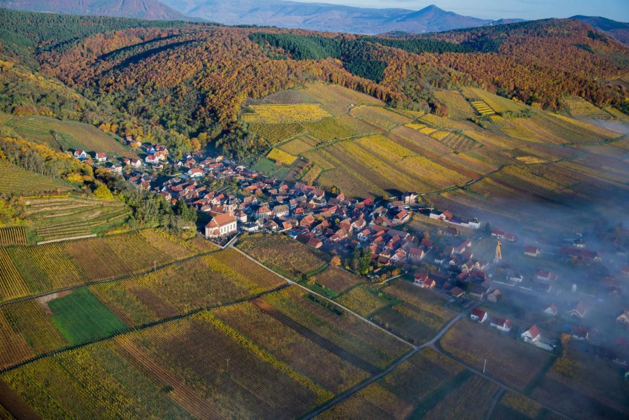Maison De Ville Selestat Centre 外观 照片